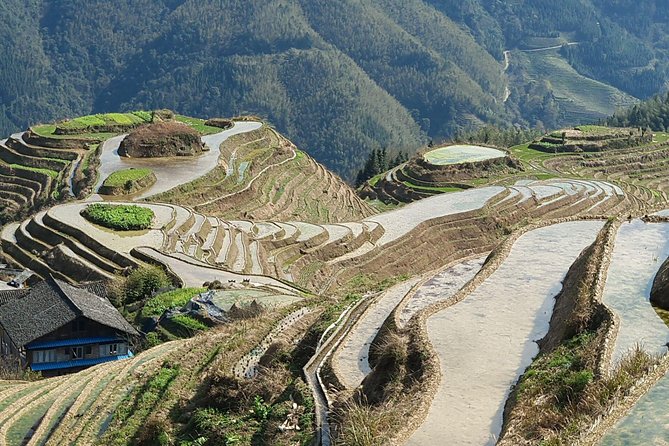 1-Day Longji Terrace Fields-Pingan Village Tour With the English Speaking Driver - Travel Tips and Recommendations