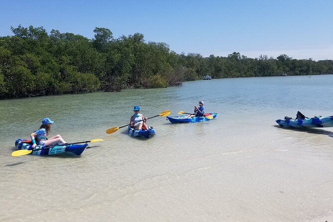 2.5-Hour Guided Group Kayak Tour on Big Hickory Pass - Booking Information