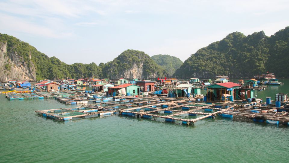 2-Day Ha Long Bay Cruise With Activities - Dining Options