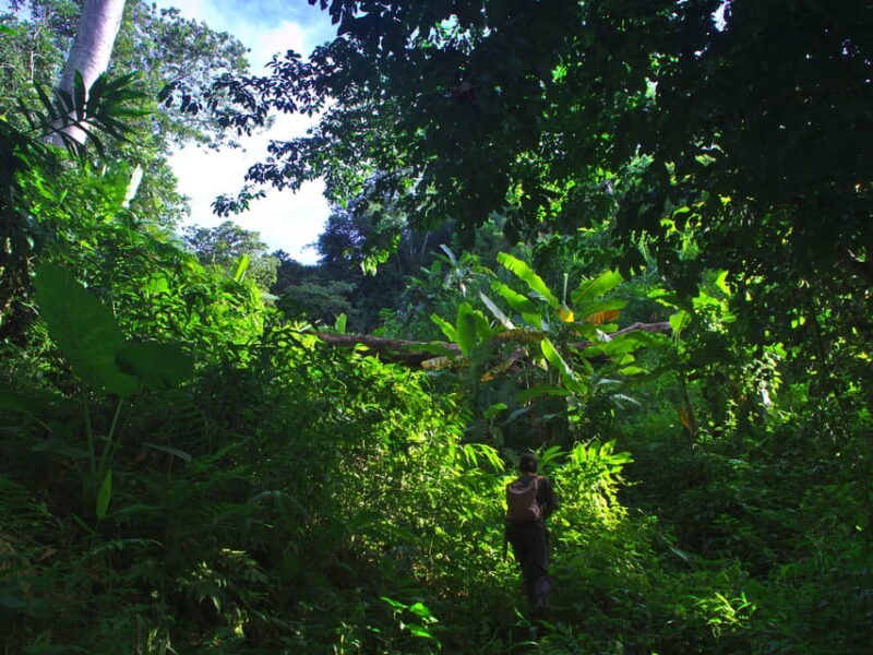 2 Days 1 Night Private Eco-Trekking Akha & Lahu Chiang Rai - Transportation and Guide