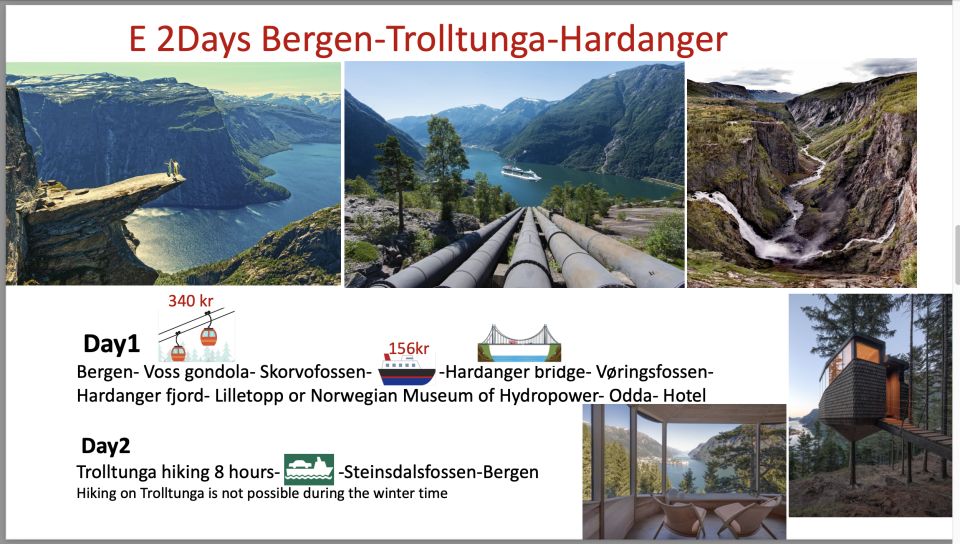 2days Tour to Hardanger and Flåm or Sognfjord Glacier Flexib - Flexible Itinerary Customization