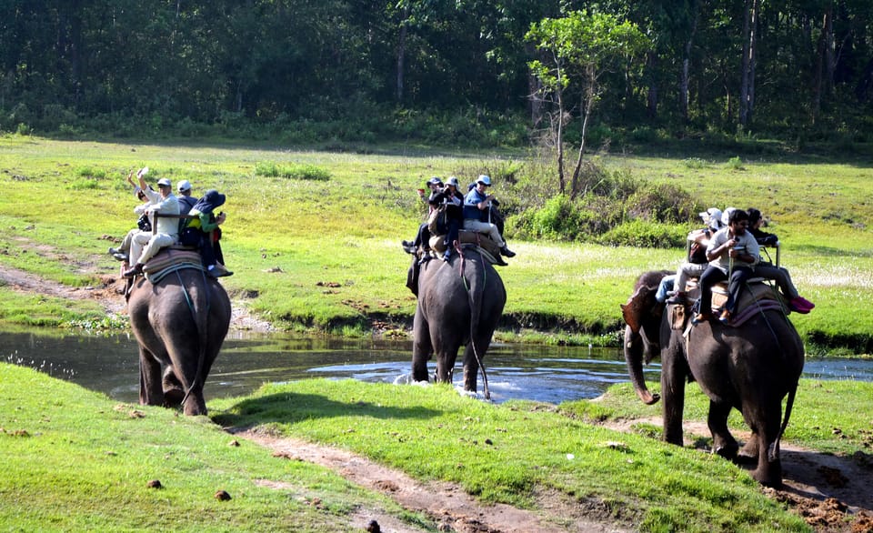 3-Day Chitwan National Park Jungle Safari Tour Kathmandu: - Cultural Experiences