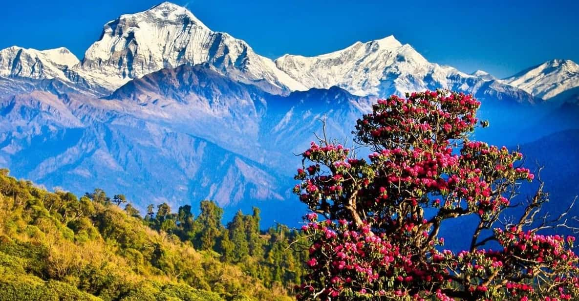 3 Day Ghorepani Poonhill Private Trek Pokhara - Trekking Preparation Tips