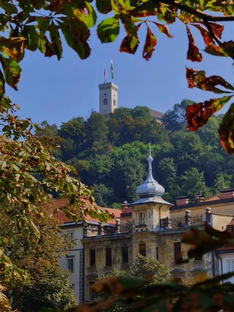 3 Days Tour From Zagreb-Ljubljana-Bled Lake-Predjama Castle - Day 3: Postojna Cave and Return to Zagreb