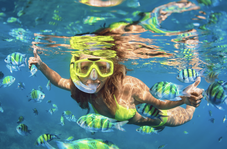 3- Hour Waikiki Snorkel Adventure - Policies and Restrictions