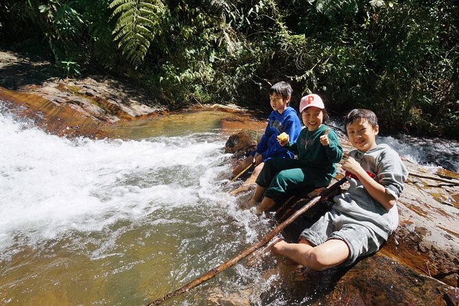 3-Hours Trekking Tour to Hidden Waterfall and Sturgeon Farm - Hidden Waterfall Exploration