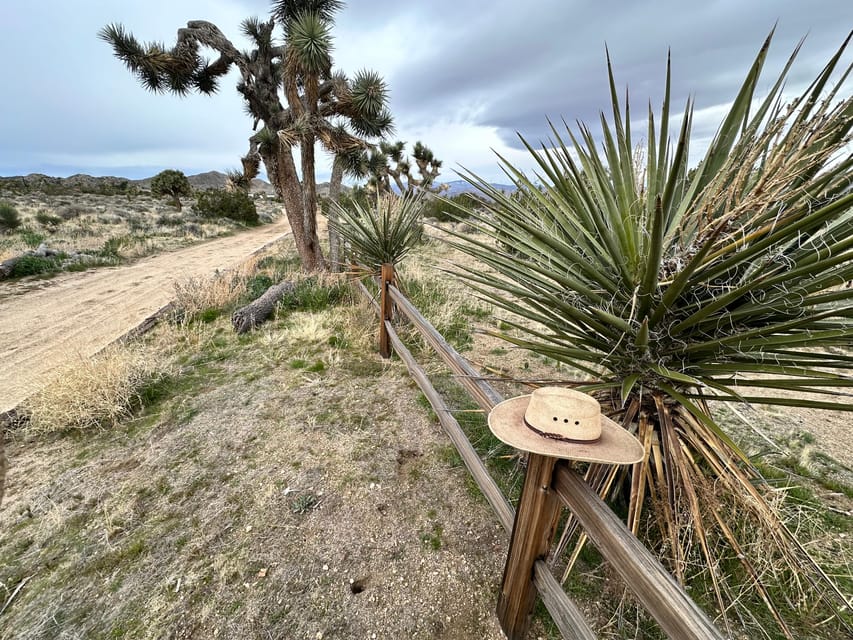 3 Hr Guided Horseback Ride: Joshua Tree National Park - Participant Requirements