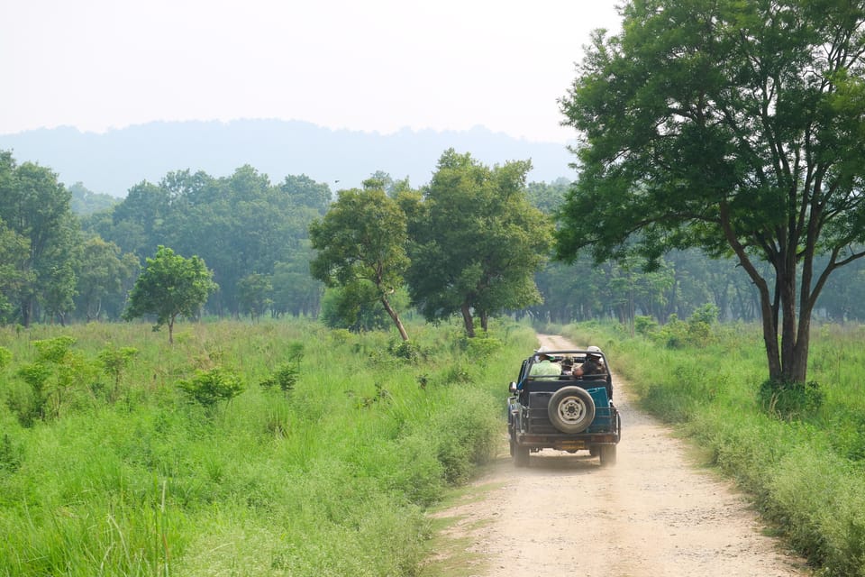 4-Day Private Chitwan National Park Safari Tour From Pokhara - Accommodation Details