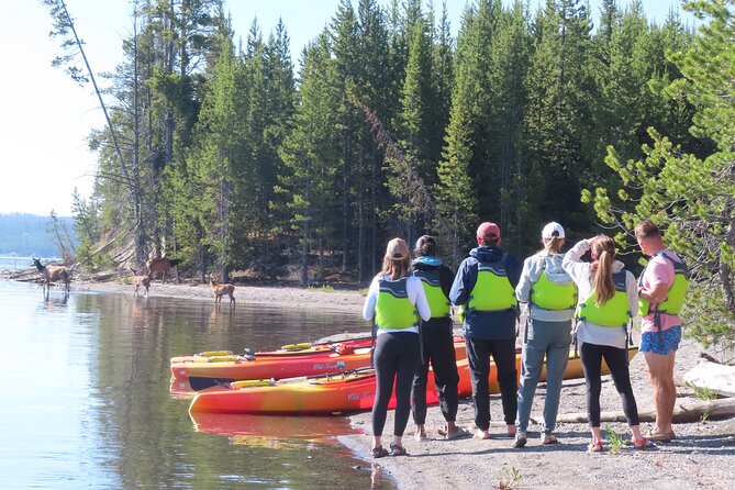 4-Hour Morning Kayak on Yellowstone Lake With Lunch - Meeting Point Information