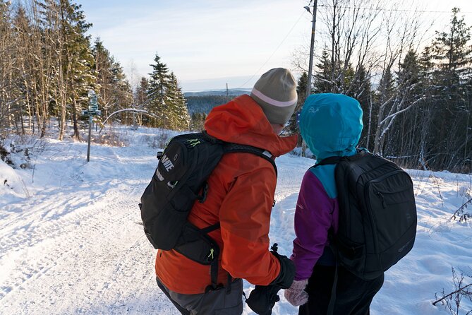 4 Hours Winter View of the Oslofjord Walk Tour - Vettakollen Mountain