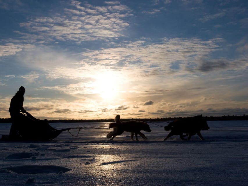 4hr Dog Sledding Trip on Finnmarksvidda - Restrictions and Recommendations