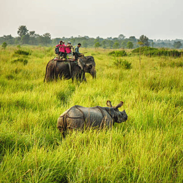 6 Days 5 Night ( Private Kathmandu Pokhara ) - Cultural Experiences