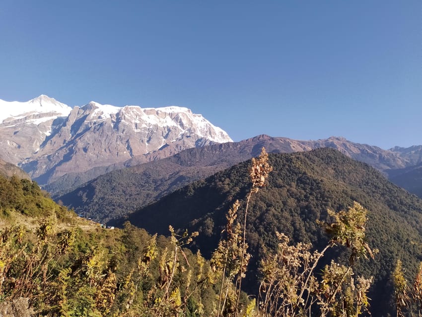 9 Day Pokhara to Timang High-Altitude Trek - Preparation Tips