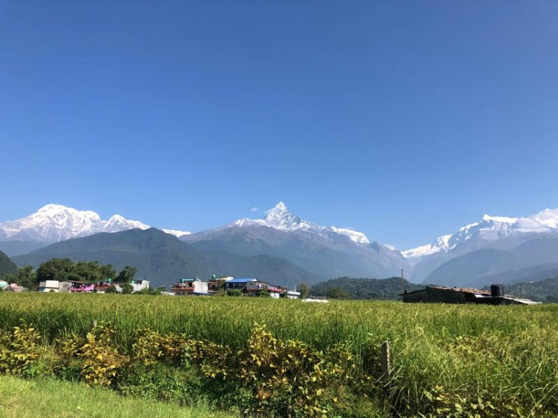 A Day Hike From Pokhara - Booking Process