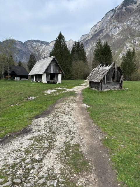 A Day Trip From Ljubljana: Magical Nature and Lake Bohinj - Frequently Asked Questions