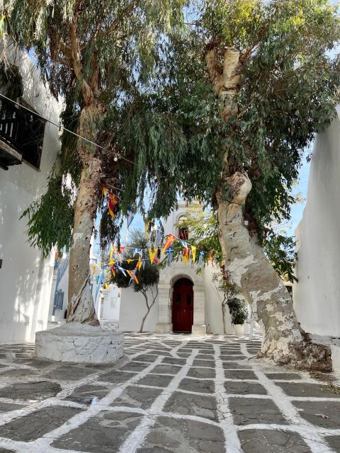 A Discovery Tour in Mykonos - Participant Guidelines and Restrictions