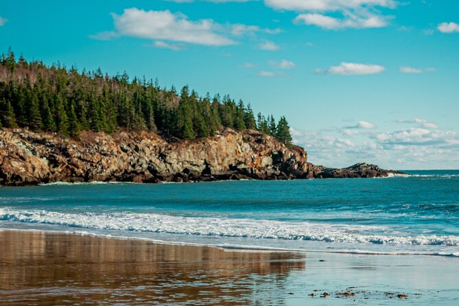 Acadia Full Day Small Group Tour - Traveler Reviews and Insights