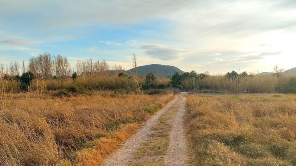 Active Bike Tour: River Turia Natural Park. - Tour Pricing and Booking