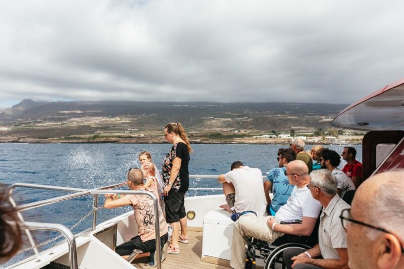 Adeje: Whale and Dolphin Watching With Lunch and Swimming - Onboard Amenities and Meal