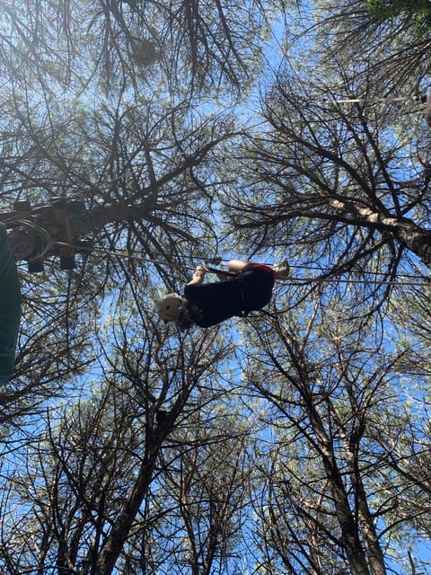 Adventure Park on Etna - Customer Feedback and Park Accessibility