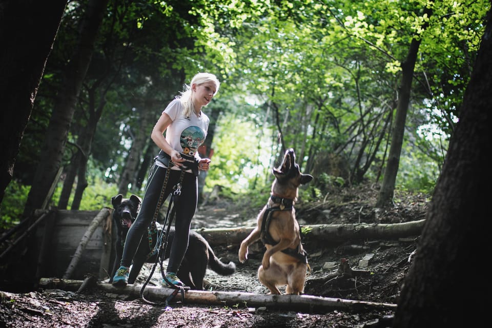 Adventure Tours With Dogs in Beskid Wyspowy - Hike - Scenic Routes in Beskid Wyspowy