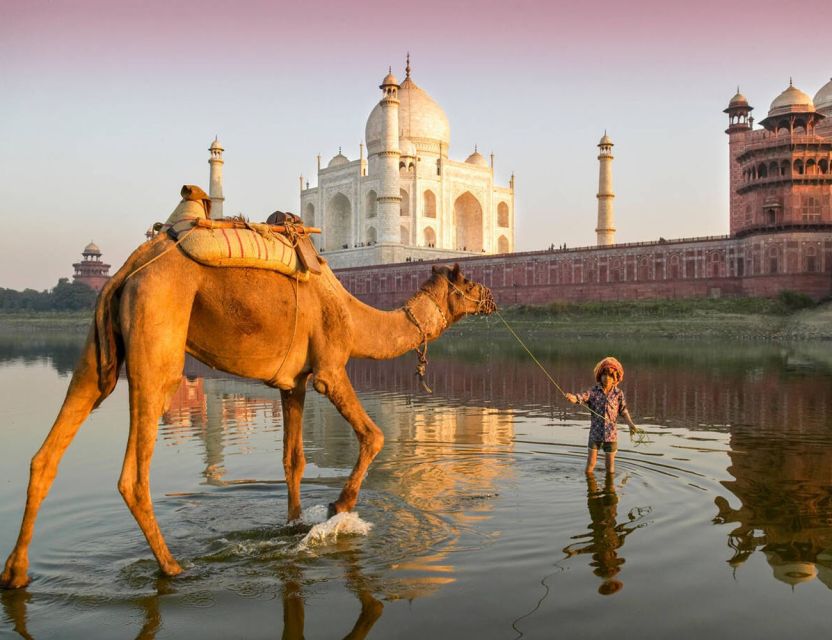 Agra: Private Local Agra Tour by Tuk Tuk - Best Time to Visit