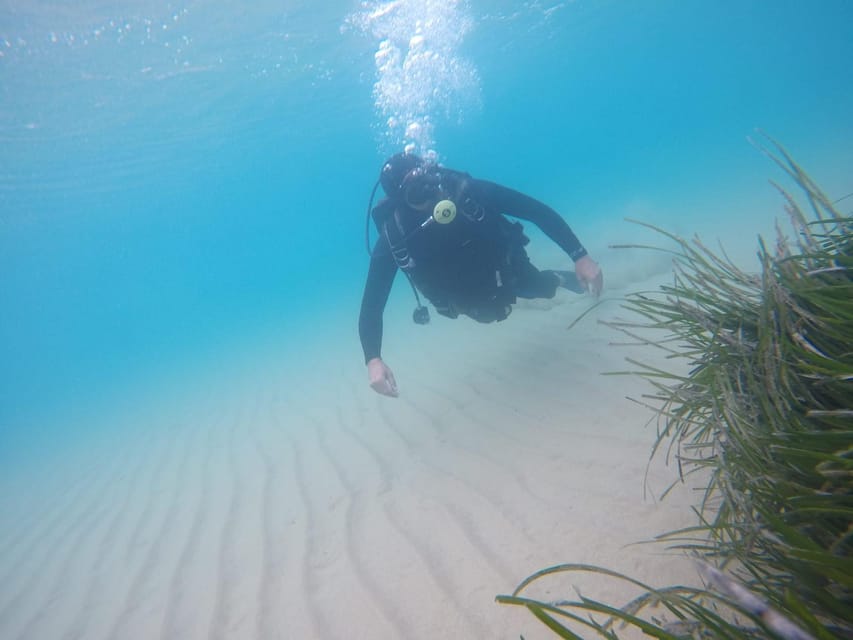 AGRIGENTO WWF COAST: Baptism of the Diver Experience - What to Bring