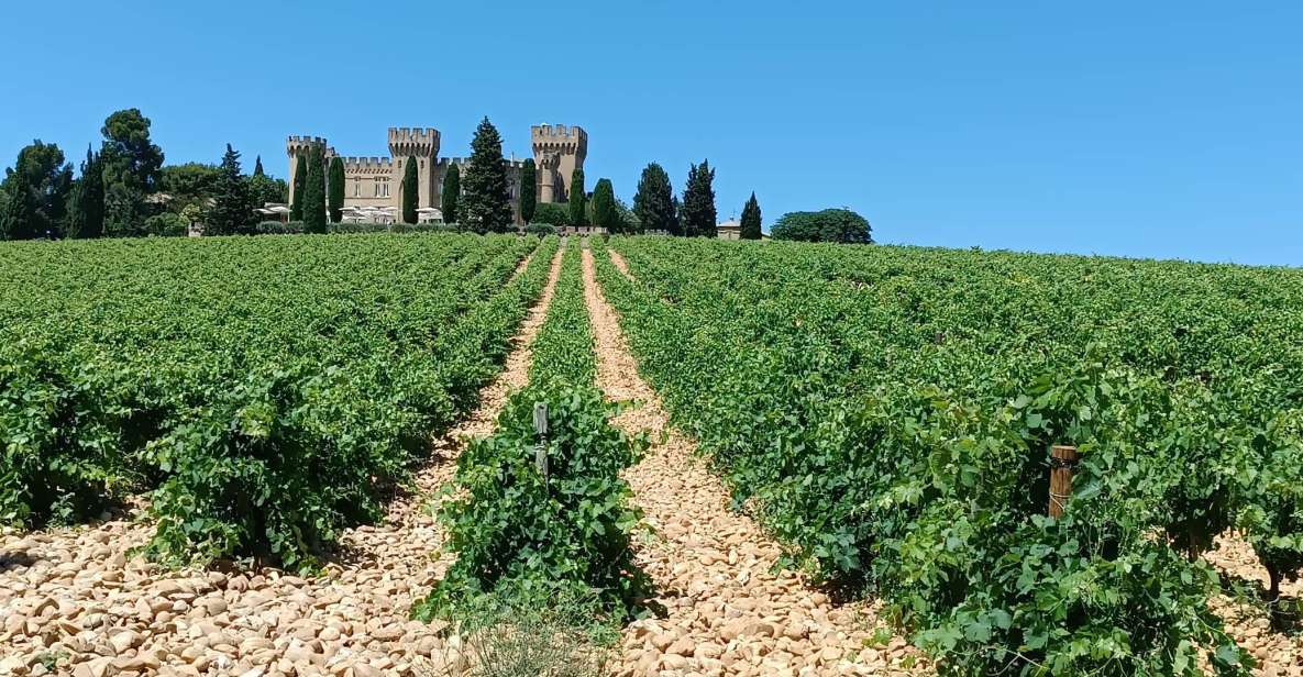 Aix-en-Provence: Avignon Tour & Chateauneuf-du-Pape Tasting - Frequently Asked Questions