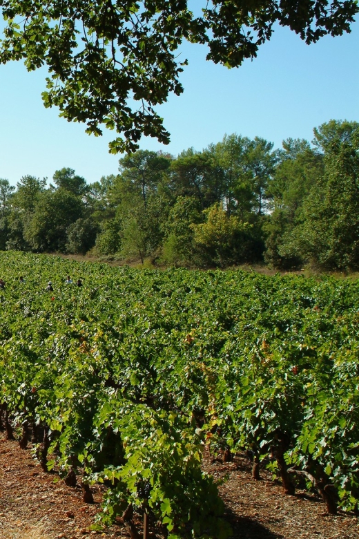 Aix-En-Provence: Half Day Wine Tour in Coteaux D'aix - Frequently Asked Questions