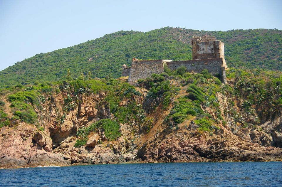 Ajaccio: Guided Scandola Nature Reserve Boat Tour - Pricing and Availability