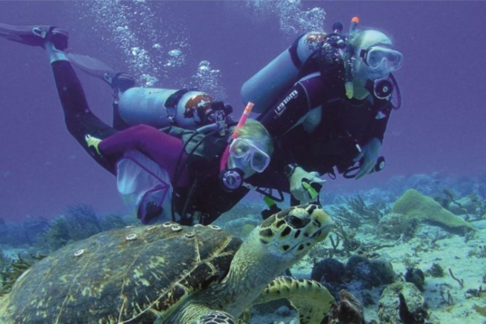 Alanya: Discover Scuba Diving Scuba Tour for Beginners - Essential Requirements