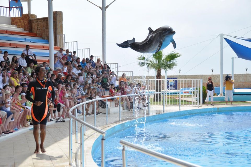 Alanya: Dolphin and Seal Show Ticket With Hotel Transfers - Customer Reviews and Ratings