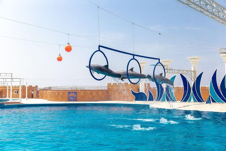 Alanya: Dolphin Park Transfers Service From All Locations - Additional Activities and Options