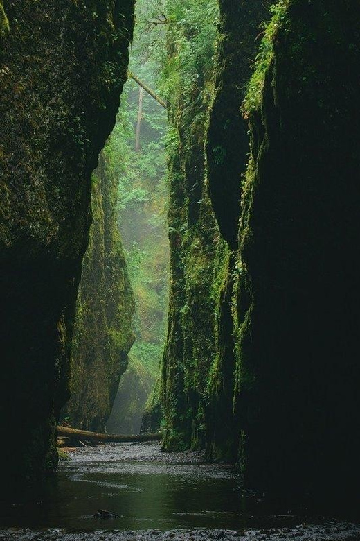 Alanya Green Canyon Boat Tour With Lunch and Swimming Breaks - Inclusions and Exclusions