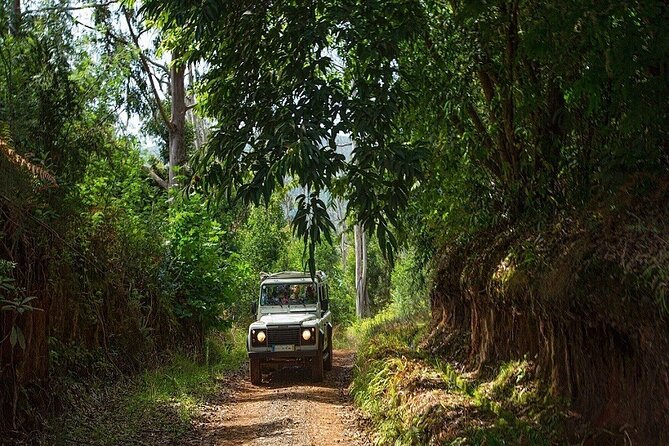 Alanya Jeep Safari Tour To Taurus Mountains (6 Activities in 1 Trip) - Tour Accessibility