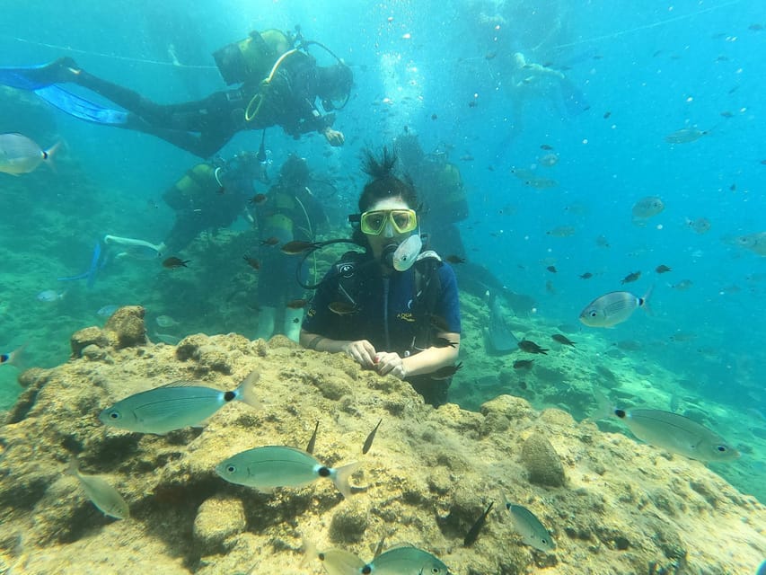 Alanya Scuba Diving Adventure - Diving Safety Tips