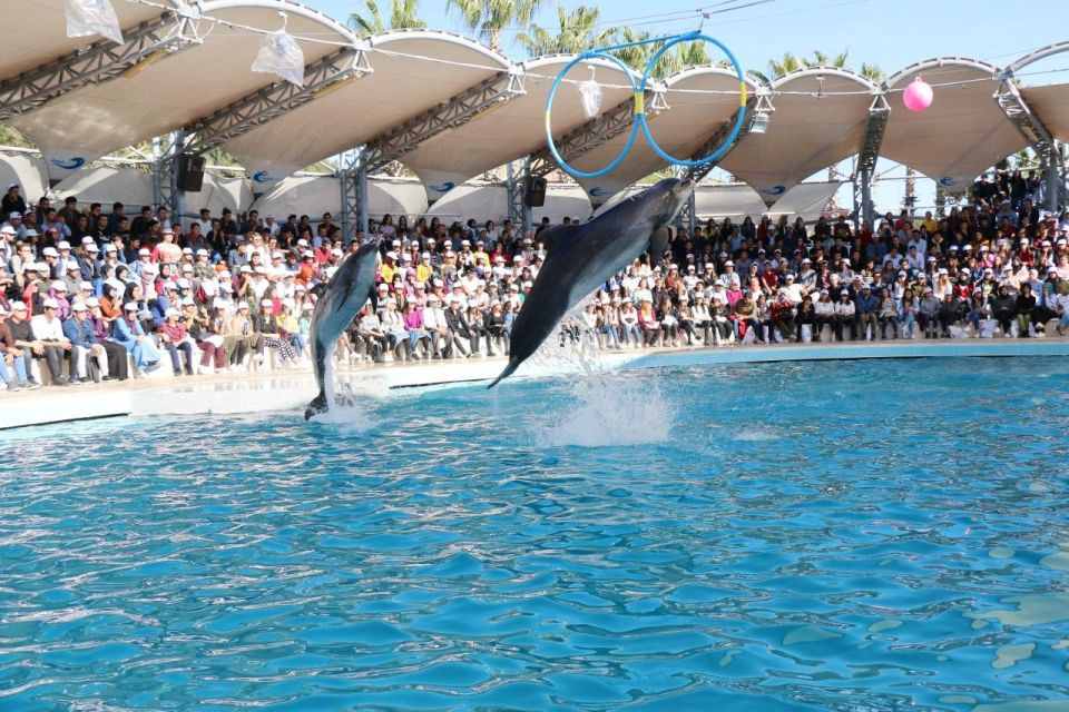 Alanya: Sealanya Dolphinpark Dolphin Show Tour - Customer Feedback