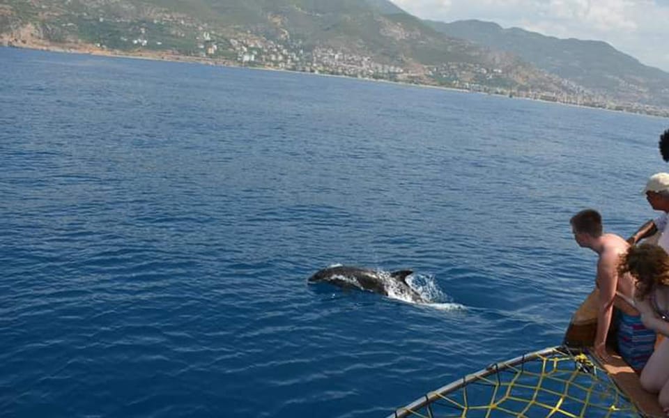 Alanya:Catamaran Tour With Lunch&Soft Drinks Animation Shows - Customer Reviews