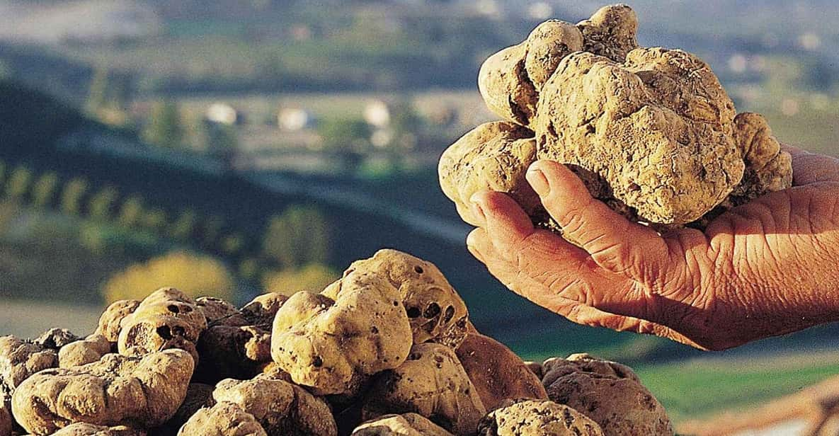 Alba Truffle Fair: Skip-the-Line Entrance and Private Tour - Whats Included in Your Experience