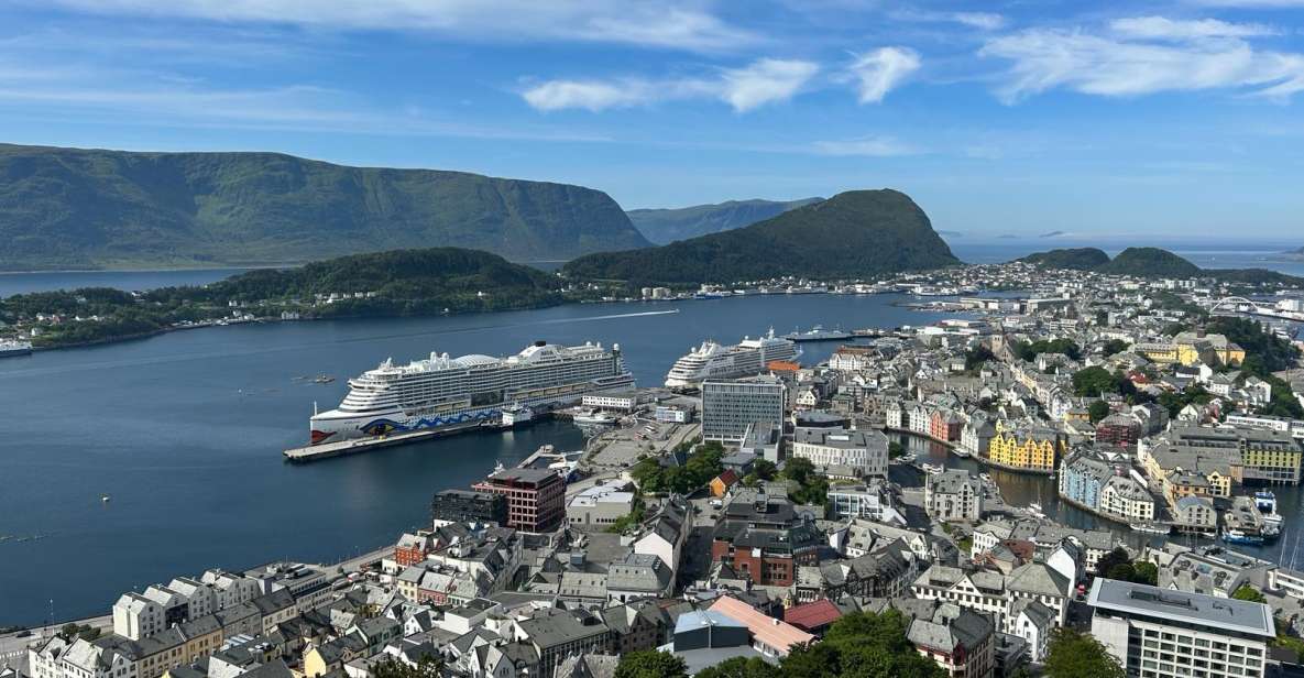 Ålesund: Giske and Godøy Islands Guided Sightseeing Tour - Customer Ratings and Feedback