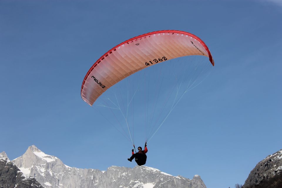 Aletsch Arena: Paragliding Tandem Flight Basic - Language Options