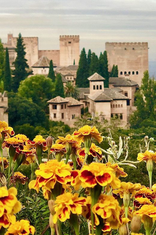 Alhambra: Guided Tour With Fast-Track Entry - Customer Reviews and Ratings