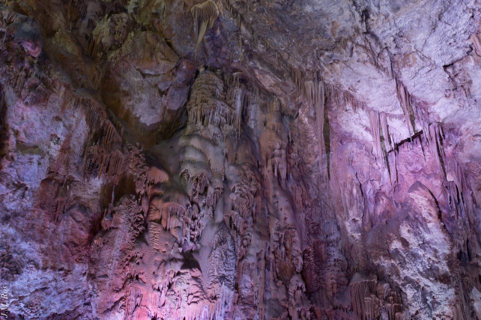 Alicante: Canelobre Caves Tour With Transport - Important Information