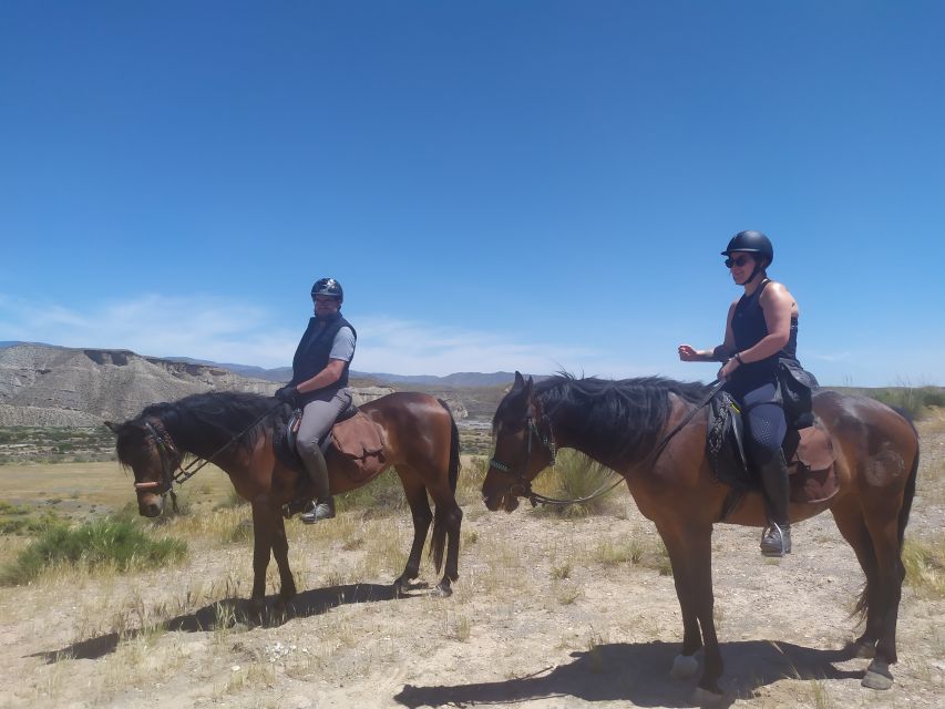 Almeria: Tabernas Desert Horse Riding for Experienced Riders - Cancellation and Refund Policy