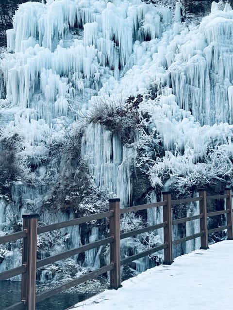 Alpaca World & Rail Bike & Chuncheon Ice Valley Waterfall - Notification