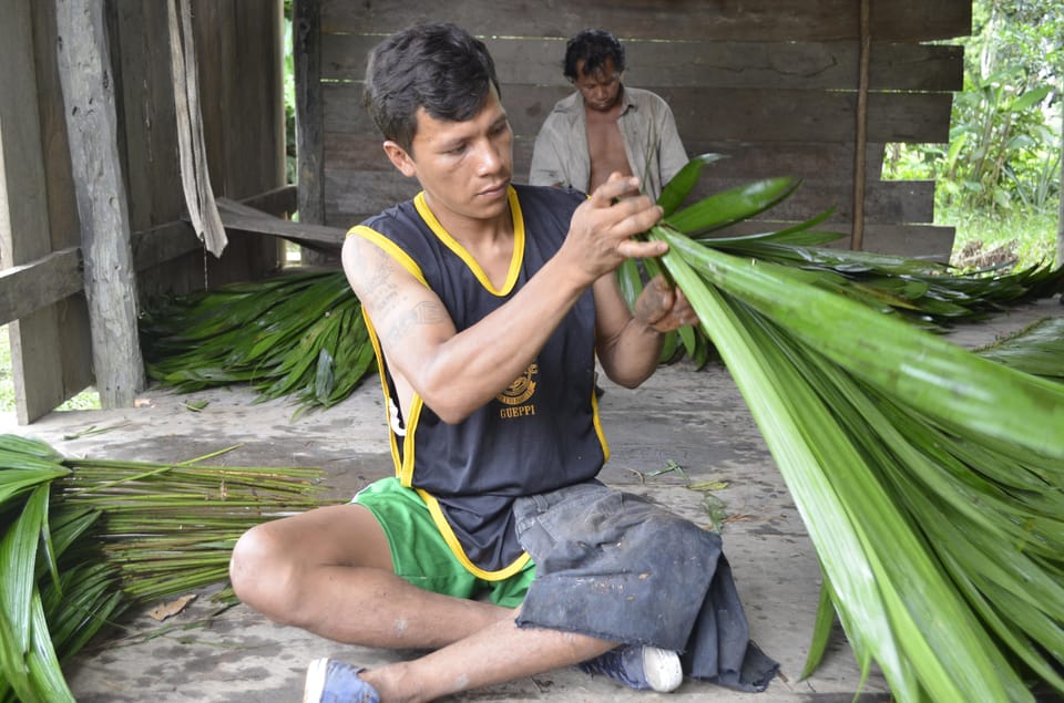 Amazon Odyssey: Explore Rainforest Wonders on Our Tours! - Essential Tour Information