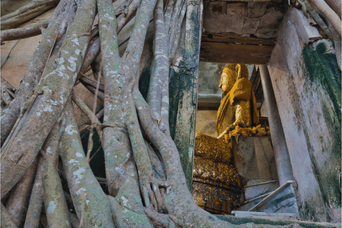 Amphawa & Railway Markets & Firefly Boat Ride: From BKK - Explore Firefly Habitat