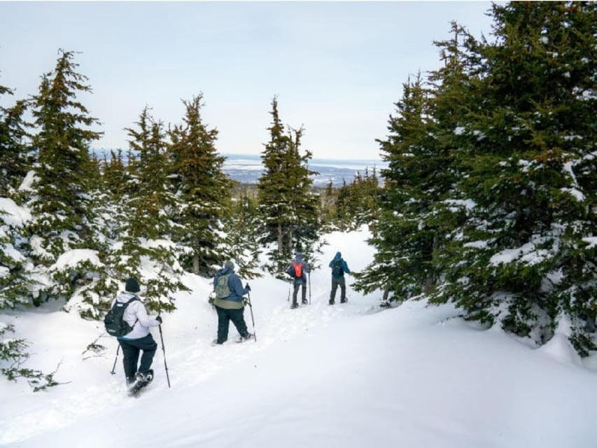 Anchorage: Heli Snowshoe Adventure - What to Bring for the Journey