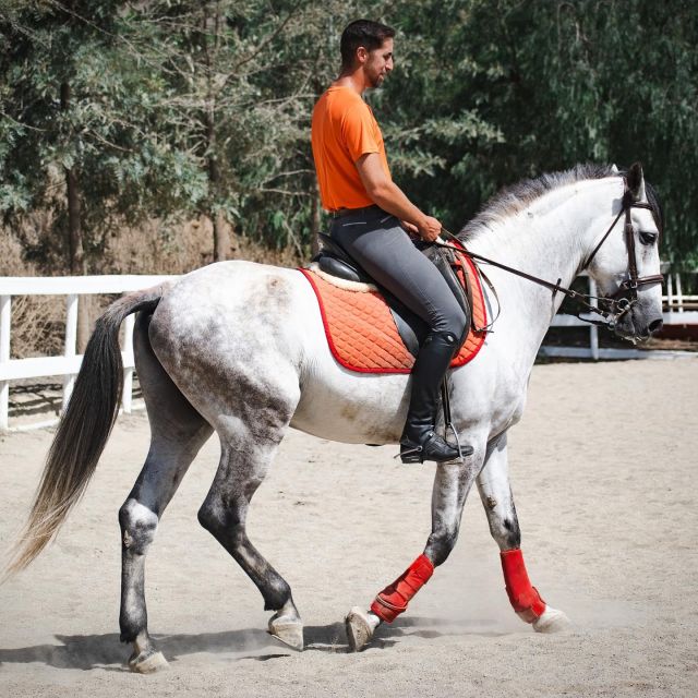 Andalucia: Horse Riding Tour With Picnic - Participant Restrictions