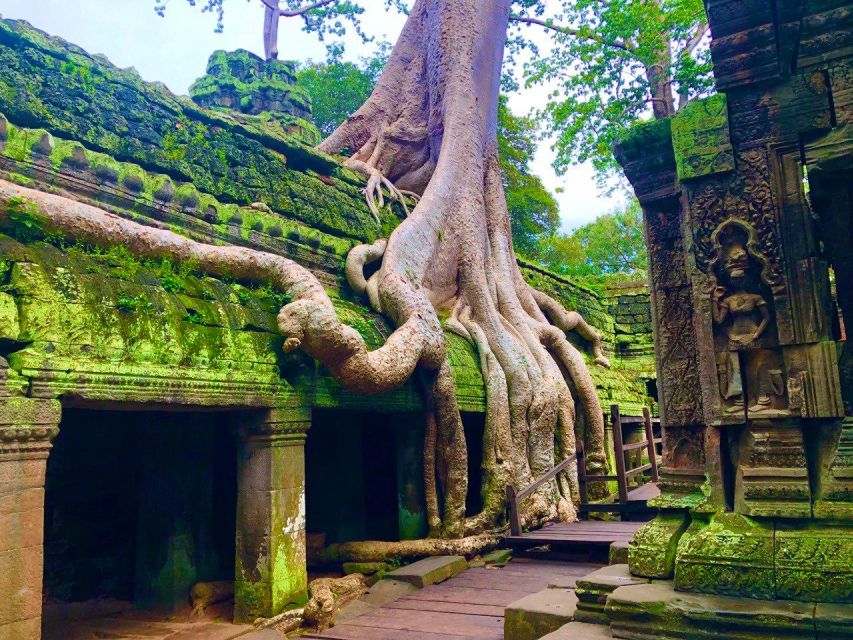 Angkor Wat Highlights Tour & Sunset View - Ta Prohm: The Jungle Temple